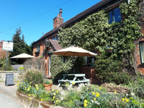 Olive Tree Guest House, Uttoxeter